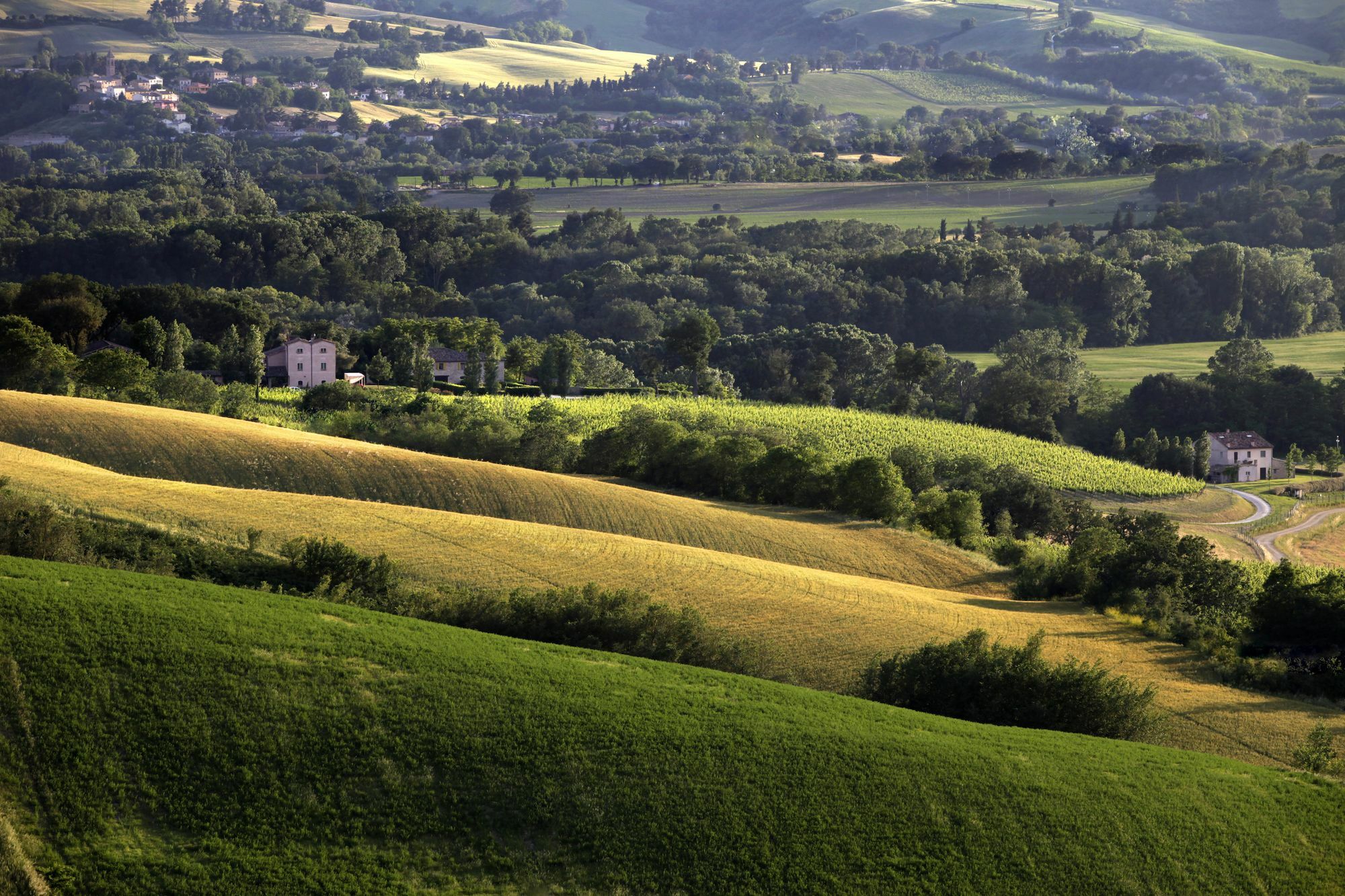 -Tenuta Santi Giacomo E Filippo Casa di campagna公司*