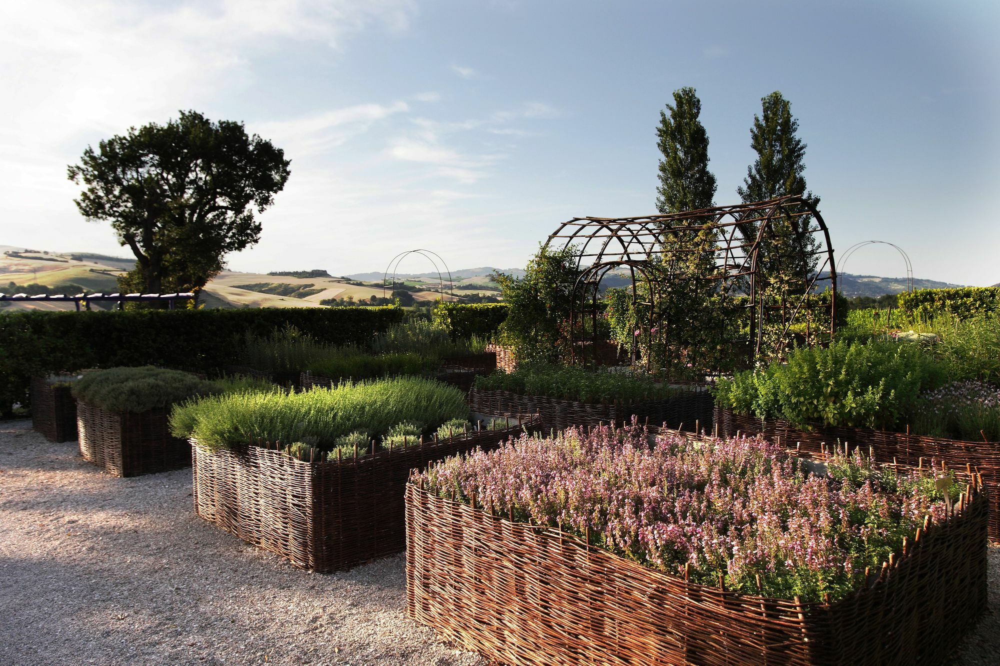 -Tenuta Santi Giacomo E Filippo Urbino公司
